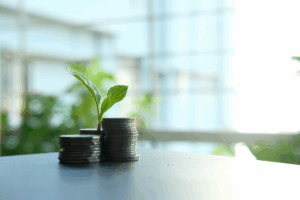 roi de un proyecto